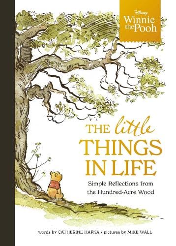 Disney Winnie the Pooh - The Little Things in Life: Simple reflections from the Hundred-Acre Wood Walt Disney 9781800787629 book cover