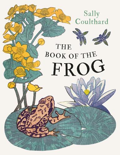 The Book of the Frog Sally Coulthard 9781803288017 book cover