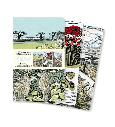 Angela Harding: Landscapes Set of 3 Mini Notebooks - Mini Notebook Collections Flame Tree Studio 9781804171981 book cover