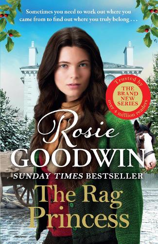 The Rag Princess - The Rags to Riches series Rosie Goodwin 9781804183076 book cover