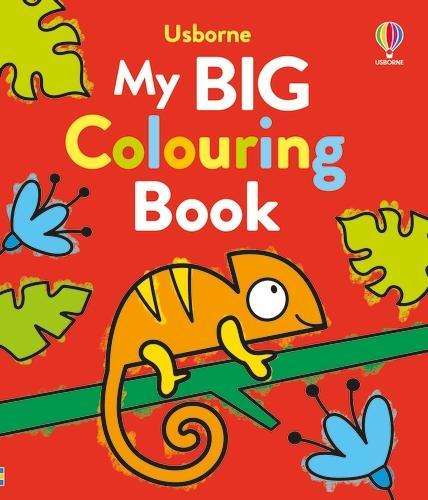 My Big Colouring Book - Big Colouring Kate Nolan, Jenny Addison 9781805311898 book cover