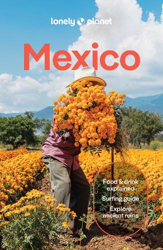Lonely Planet Mexico - Travel Guide Lonely Planet, Joel Balsam, Jennifer Fernández Solano, John Hecht, Nellie Huang, Anna Kaminski, Liza Prado, Brendan Sainsbury, Regis St Louis, Paul Stafford, Iain Stewart, Phillip Tang 9781837583973 book cover