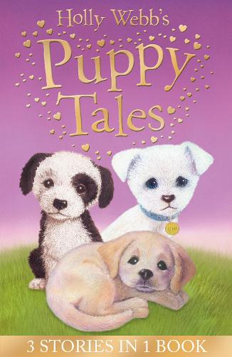 Holly Webb's Puppy Tales: Alfie all Alone, Sam the Stolen Puppy, Max the Missing Puppy - Holly Webb: Animal Stories (Book) Holly Webb, Sophy Williams 9781847153784 book cover