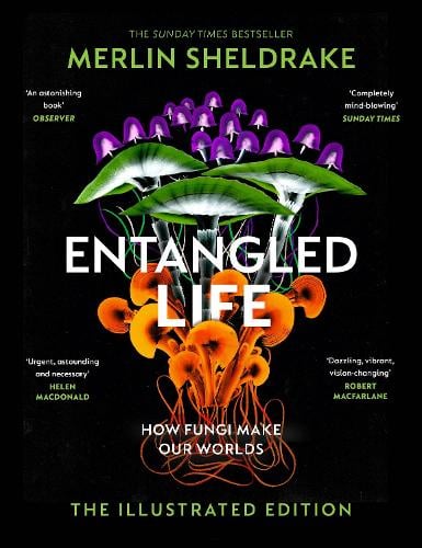 Entangled Life (The Illustrated Edition): How Fungi Make Our Worlds - The Illustrated Edition Merlin Sheldrake 9781847927736 book cover