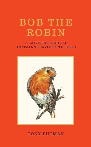 Bob the Robin: A true story of the friendship between one man and Britain's favourite garden bird Tony Putman 9781856755320 book cover