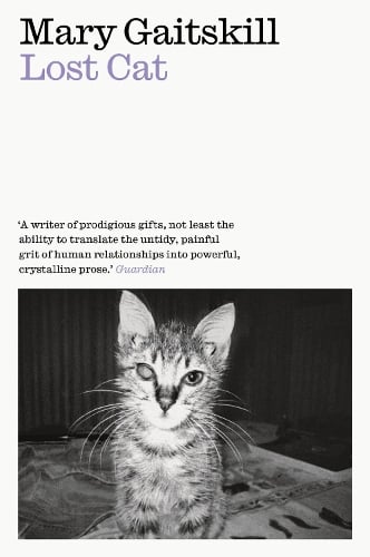 Lost Cat: A Memoir Mary Gaitskill 9781911547808 book cover