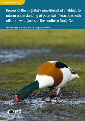 Review of the migratory movements of Shelduck to inform understanding of potential interactions with offshore wind farms in the southern North Sea. Ros Green, Niall Burton, Aonghais Cook 9781912642106 book cover