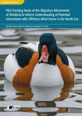 Pilot tracking study of the migratory movements of Shelduck to inform understanding of potential interactions with offshore wind farms in the North Sea: BTO Research Report 725 Ros Green, Niall Burton, Aonghais Cook 9781912642199 book cover