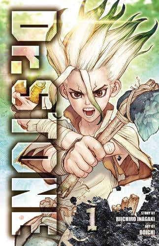 Dr. STONE, Vol. 1: Stone World - Dr. STONE Riichiro Inagaki, Boichi 9781974702619 book cover