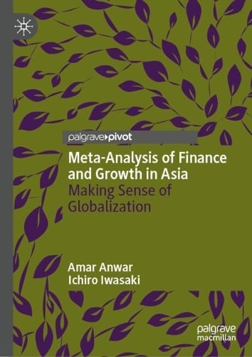 Meta-Analysis of Finance and Growth in Asia: Making Sense of Globalization Amar Anwar, Ichiro Iwasaki 9783032102188 book cover