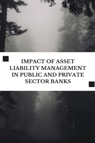 Impact of Asset Liability Management in Public and Private Sector Banks Umahani A 9785775280000 book cover